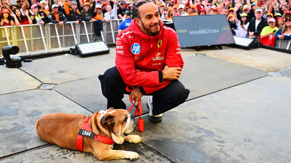 Lewis Hamilton de luto pelo 'icônico' Roscoe: "Morreu nos meus braços"